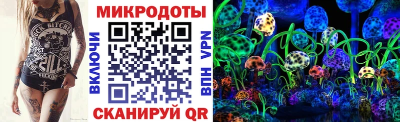 Псилоцибиновые грибы Psilocybe omg как зайти Волосово